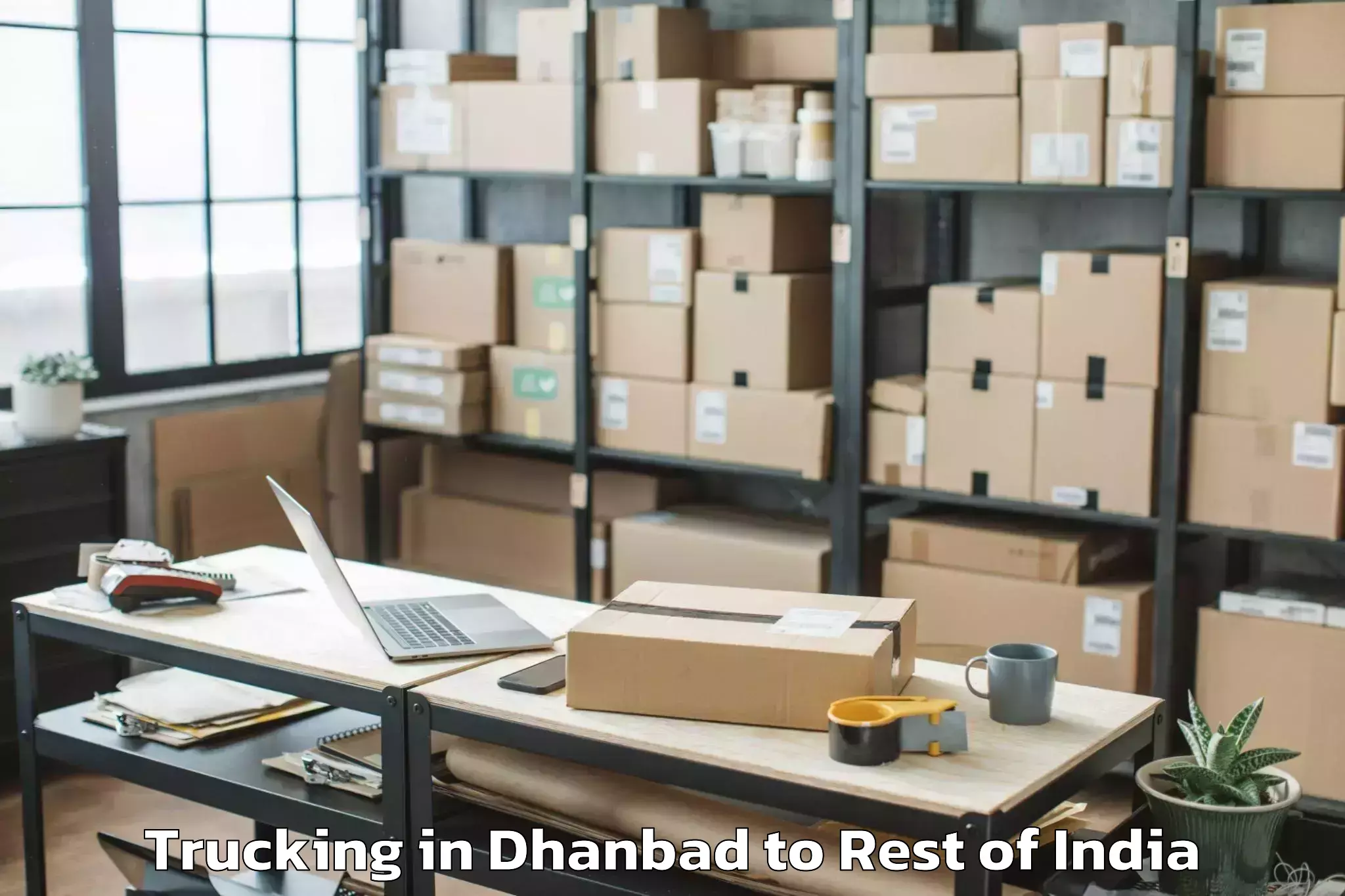 Leading Dhanbad to Charar E Shrief Trucking Provider